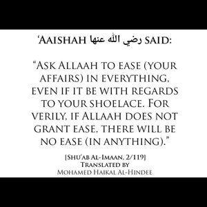 Meet your Posher, Zainab